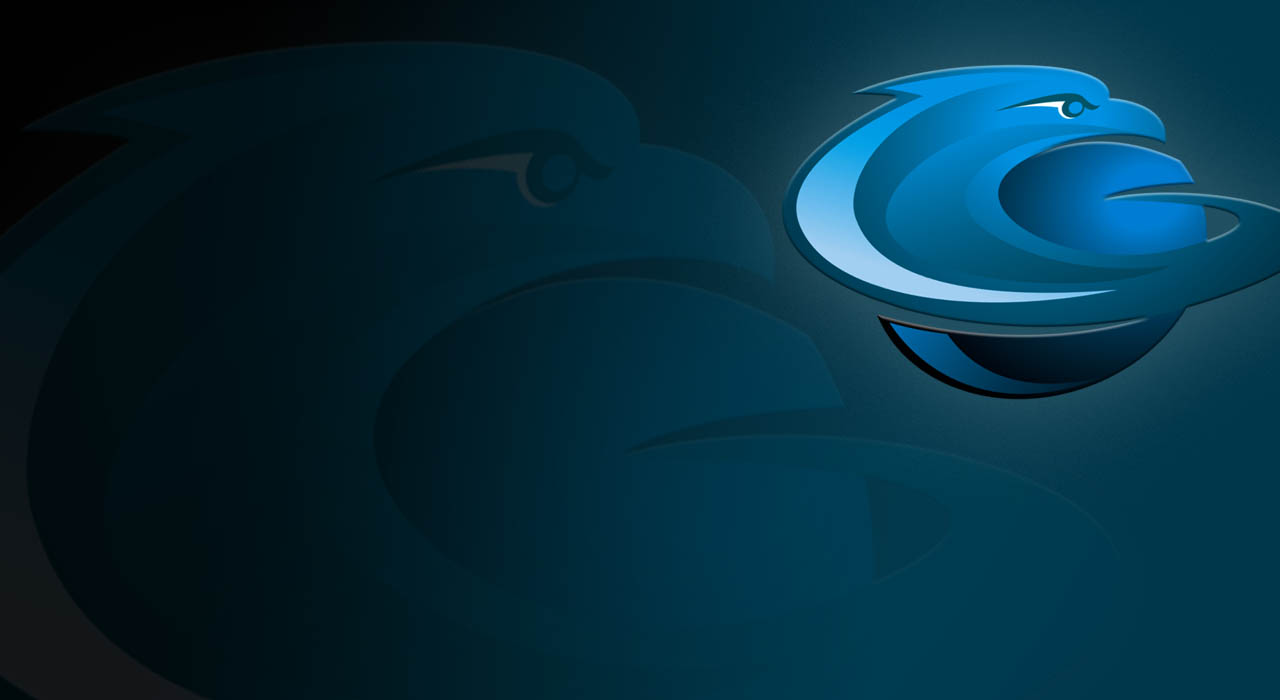 About Falcon Internet